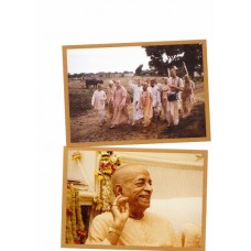 Set of 6 Photographs of Srila Prabhupada
